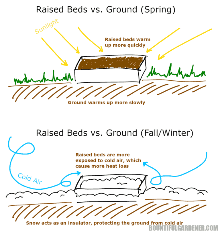 Are Raised Beds Warmer than the Ground? – Bountiful Gardener