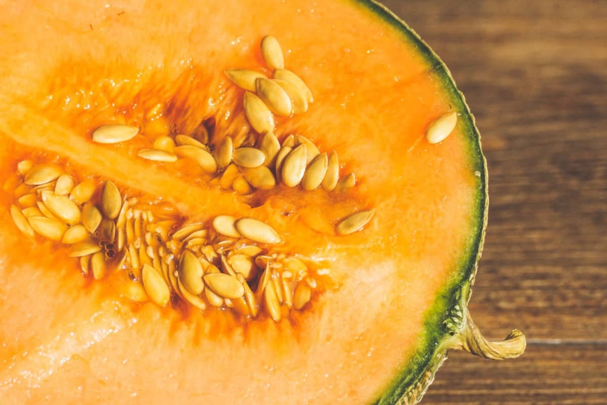 7-sweetest-cantaloupe-varieties-to-grow-how-to-get-seeds