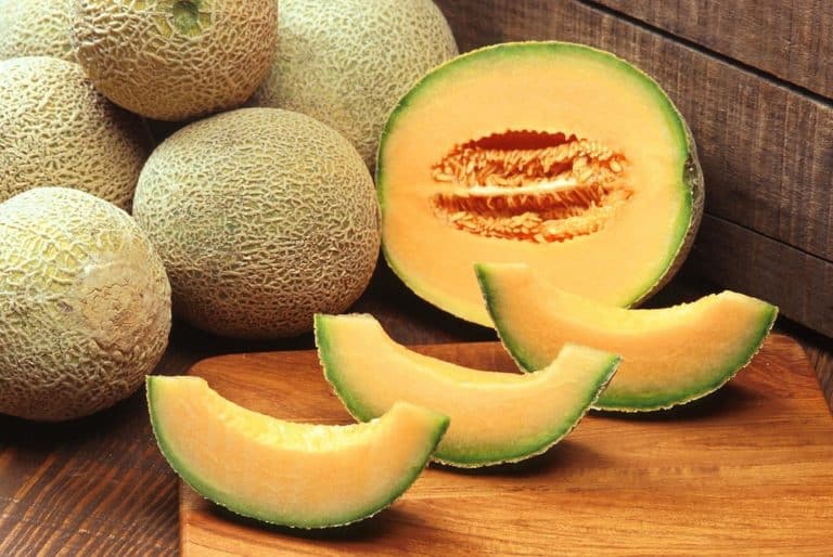 7-sweetest-cantaloupe-varieties-to-grow-how-to-get-seeds